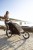 Small-Thule_Chariot_Sport2_LS_Malmo_230608_1705.jpg