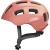 cover.webp